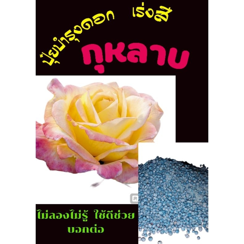 ปุ๋ยบำรุงดอกกุหลาบ เร่งสี ขนาด200g