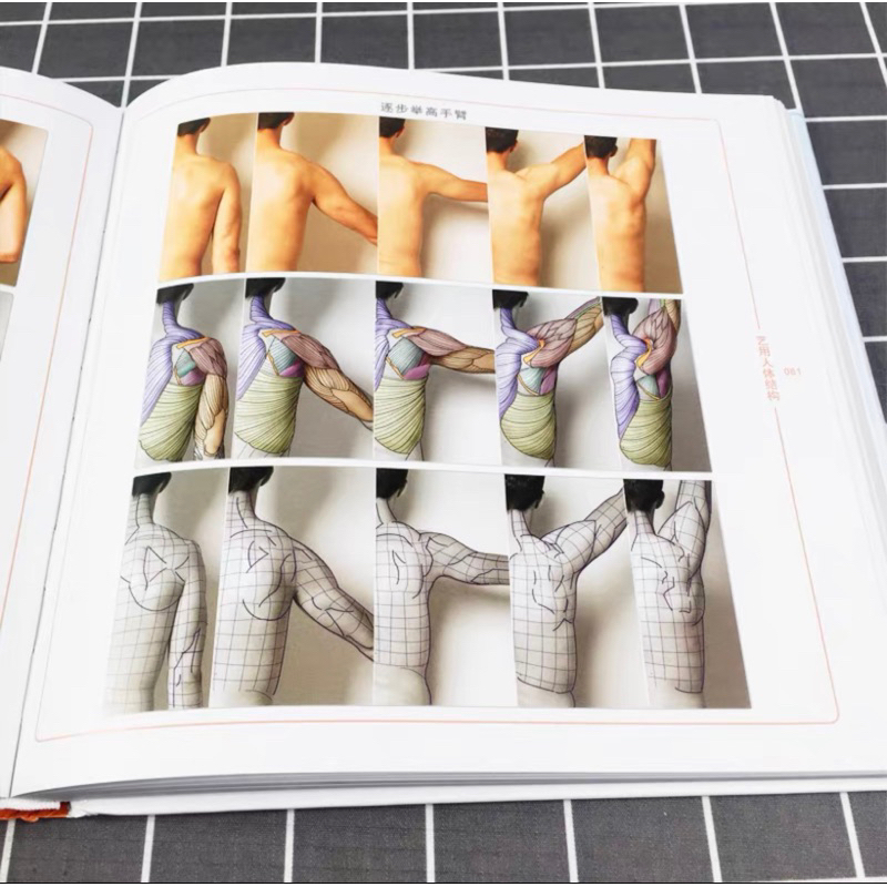 ANATOMY FOR SCULPTORS โครงสร้างร่างกายมนุษย์ กล้ามเนื้อ กายวิภาคศาสตร์ หนังสือสอนวาดรูป วาดภาพคน ศิลปะ - รูปที่ 7