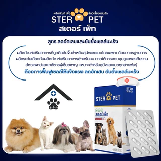 ⭐️ส่งด่วนในวัน [ โปร 1 แถม 1 ] ของแท้ บจก. STER PET (สเตอเพ็ท) เนื้องอก มะเร็ง แผลอักเสบ