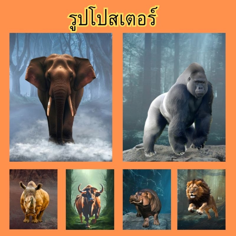 รูป โปสเตอร์ สัตว์ป่า ช้าง สิงโต ฮิปโป แรดติดฝาผนัง ตกแต่งห้องนั่งเล่น ห้องทำงาน ห้องนอน #สัตว์ป่า