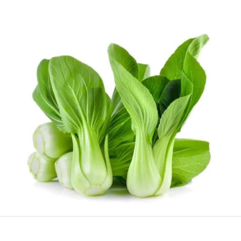 เมล็ดพันธุ์กวางตุ้งฮ่องเต้2,000-3,000 เมล็ด 29 บาท - รูปที่ 2