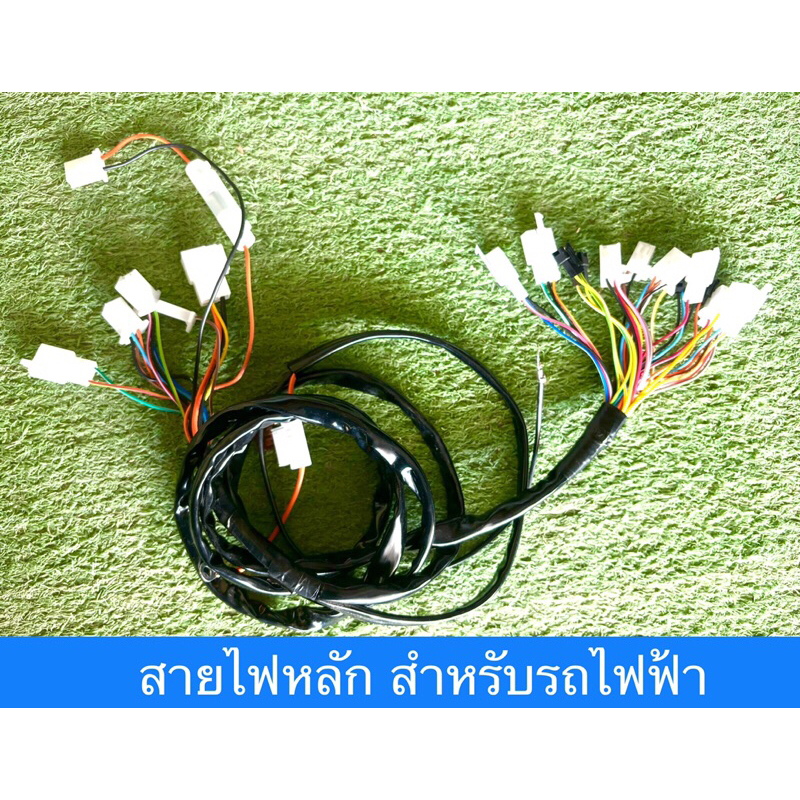 สายไฟหลัก สำหรับรถไฟฟ้า