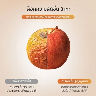 เครื่องซีลสูญญากาศ การใช้แบบเปียกและแห้ง แรงดูด60PA อาหารสิ่งประดิษฐ์ที่เก็บรักษา Vacuum Sealer พร้อมถุงแวคคั่ม 10 ถุง
