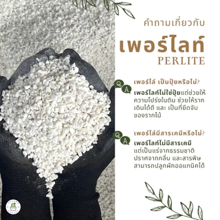Perlite100L เพอร์ไลท์ กระสอบ 100ลิตร วัสดุปลูก เพอไล เพิ่มความโปร่งในดิน