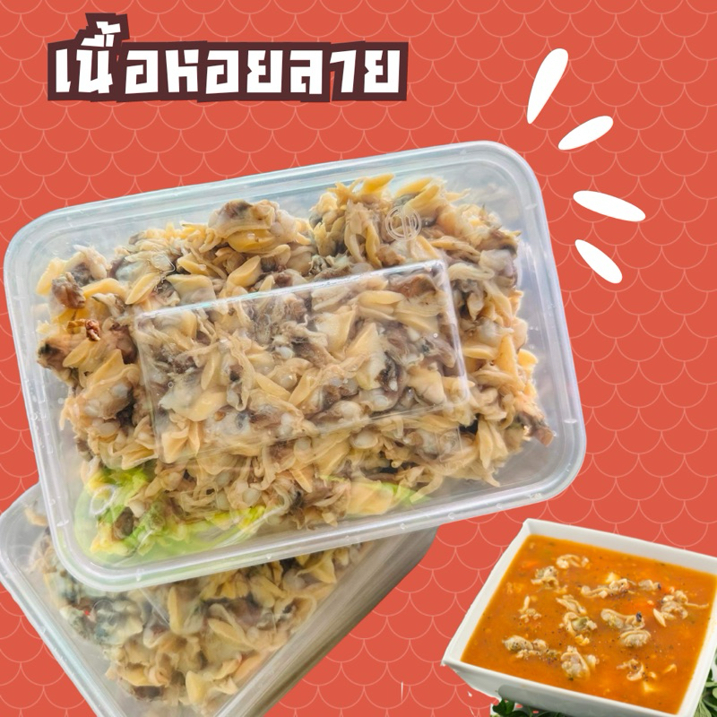 เนื้อหอยลาย 500 กรัม ฟรีโฟม