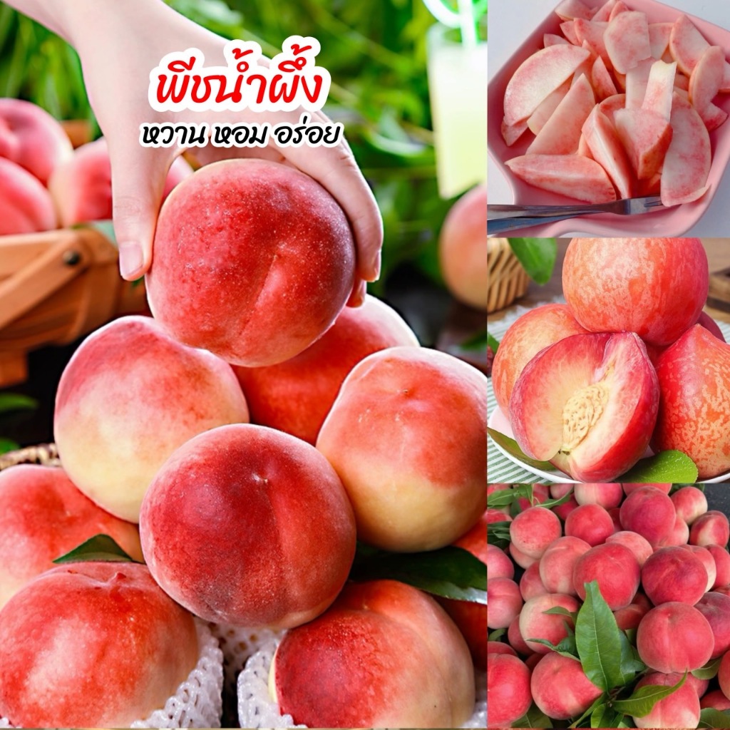 🍑พีชน้ำผึ้ง 1kg หอม หวาน อร่อย สดๆต้นฤดู ✨