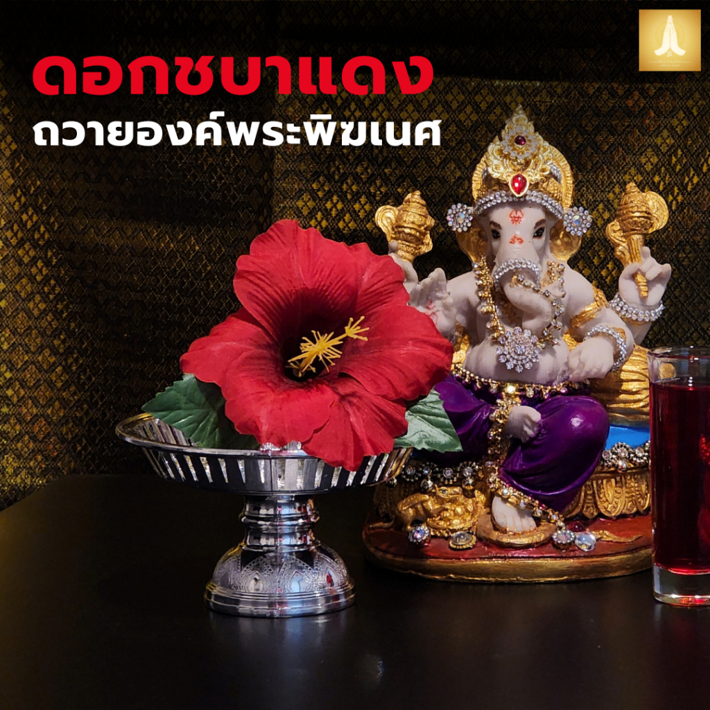 ดอกชบาสีแดง 1 ดอก ถวายองค์พระพิฆเนศ