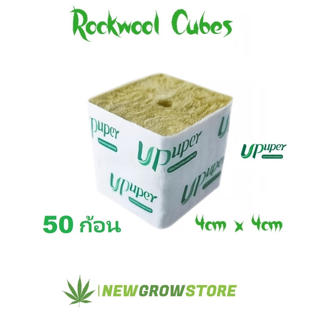 x50 ก้อน UPuper ROCKWOOL ร็อควูล วัสดุใยหินปลูกต้นไม้ ระบบไร้ดิน เพาะเมล็ด - เก็บเกี่ยว ต้นเจริญเติบโตได้ดี