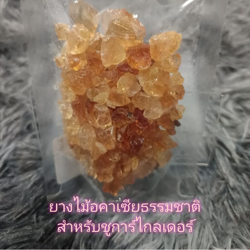 ยางไม้อคาเซียธรรมชาติ สำหรับชูการ์ไกลเดอร์ ขนาด 50 กรัม