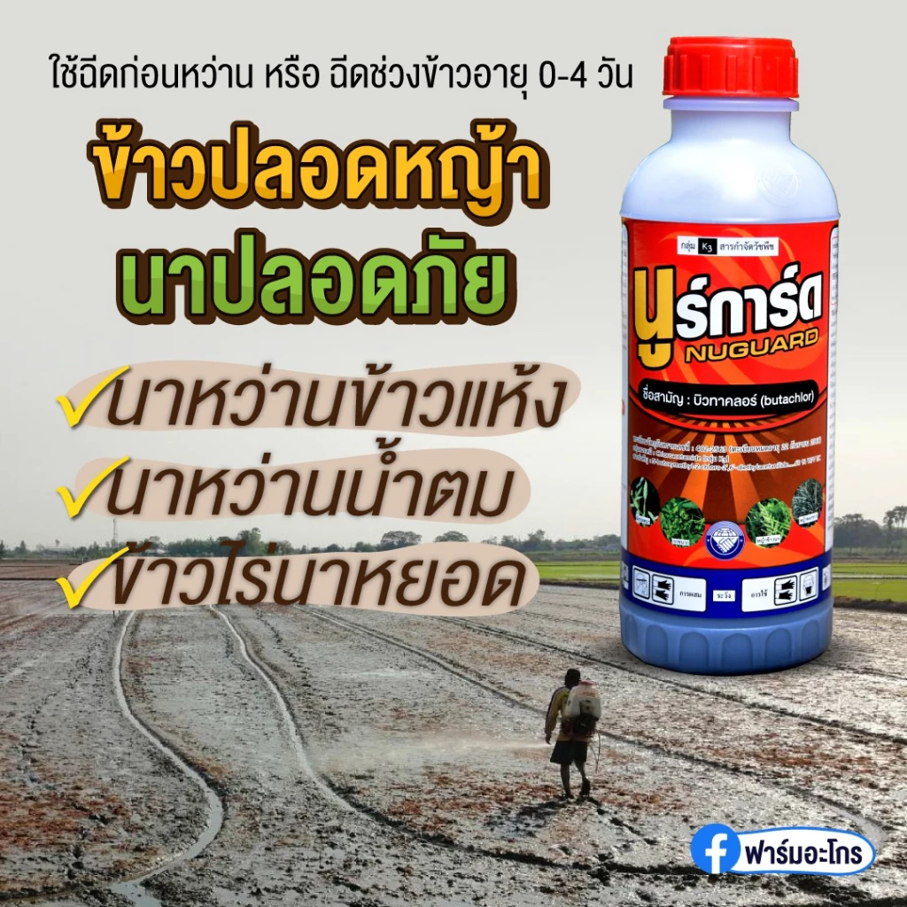 นูร์การ์ด คุมหญ้าในนาข้าวตอนอายุ 0-4 วัน ข้าวไม่แดง ข้าวไม่งัน ใช้ได้กับนาข้าวทุกชนิด