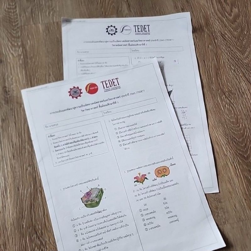 ชีสข้อสอบ TEDET ม. 1 วิชาวิทยาศาสตร์และคณิตศาสตร์ มือสอง
