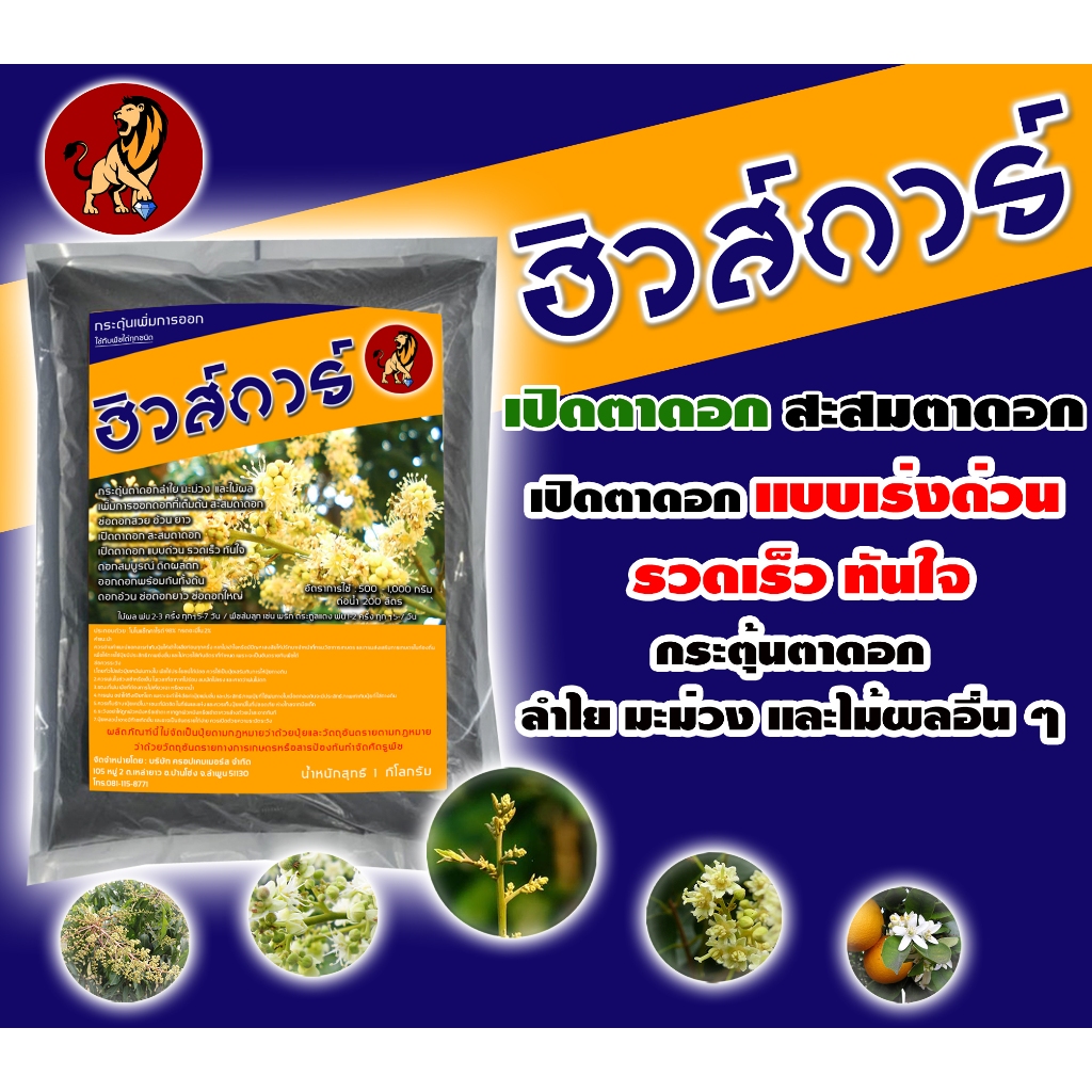 เปิดตาดอก สะสมตาดอก #ฮิวส์การ์ 1 กิโลกรัม กระตุ้นตาดอกลำไย มะม่วง และไม้ผลอื่น ๆ ช่อดอกสวย อ้วนยาว