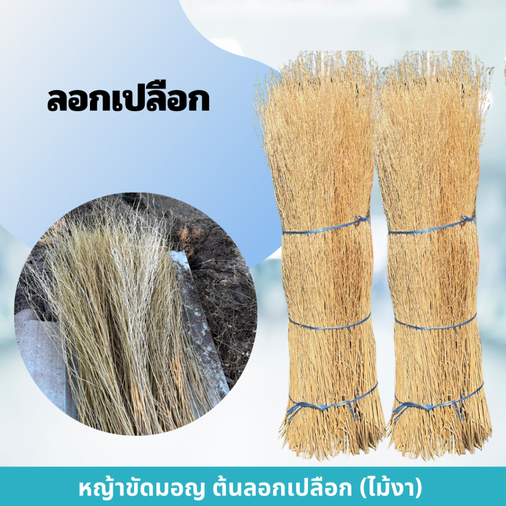 หญ้าขัดมอญธรรมชาติ ลอกเปลือก ไม้งากระจายกลิ่น