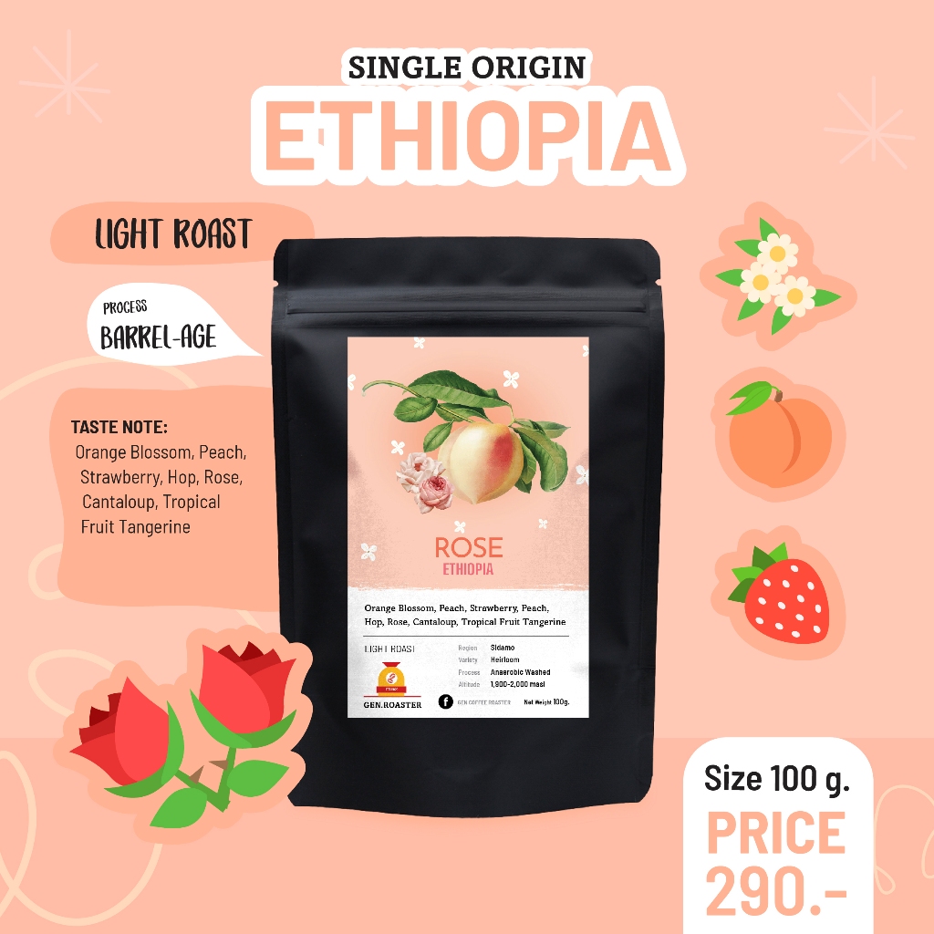 เมล็ดกาแฟ Ethiopia Sidamo Rose