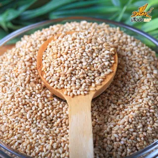 งาขาวดิบขนาดใหญ่ (100 / 500) กรัม ตราเสือบิน | (White Sesame Seeds)