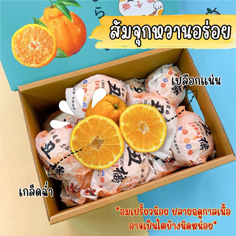 ส่งฟรี‼️สินค้าเข้าใหม่ 18/7/67‼️ Papa Dekopon Orange🍊ส้มจุกสายพันธุ์ญี่ปุ่นกล่องฟ้านำเข้าประเทศจีน🛳️