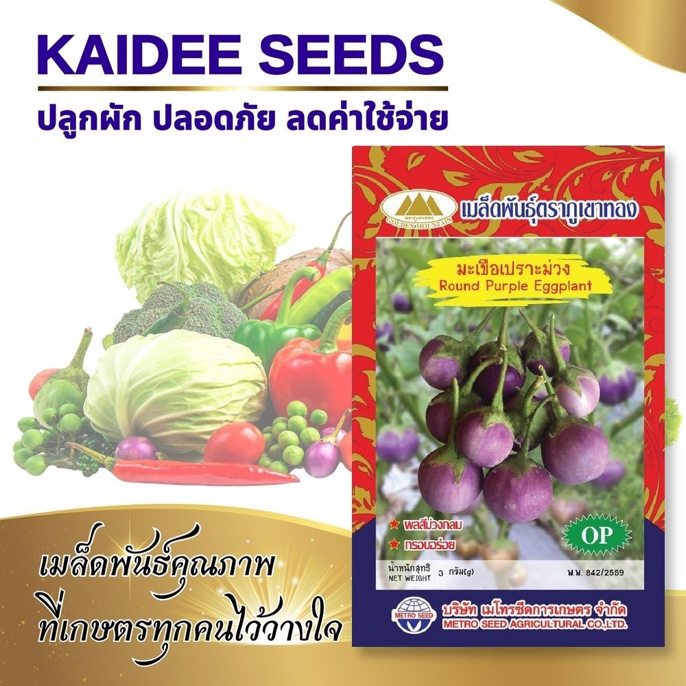 เมล็ดมะเขือเปราะม่วง Round Purple Eggplant ตราภูเขาทอง เมล็ดพันธุ์มะเขือเปราะ เมล็ดมะเขือเปราะ มะเขือเปราะม่วง เมล็ดพันธ