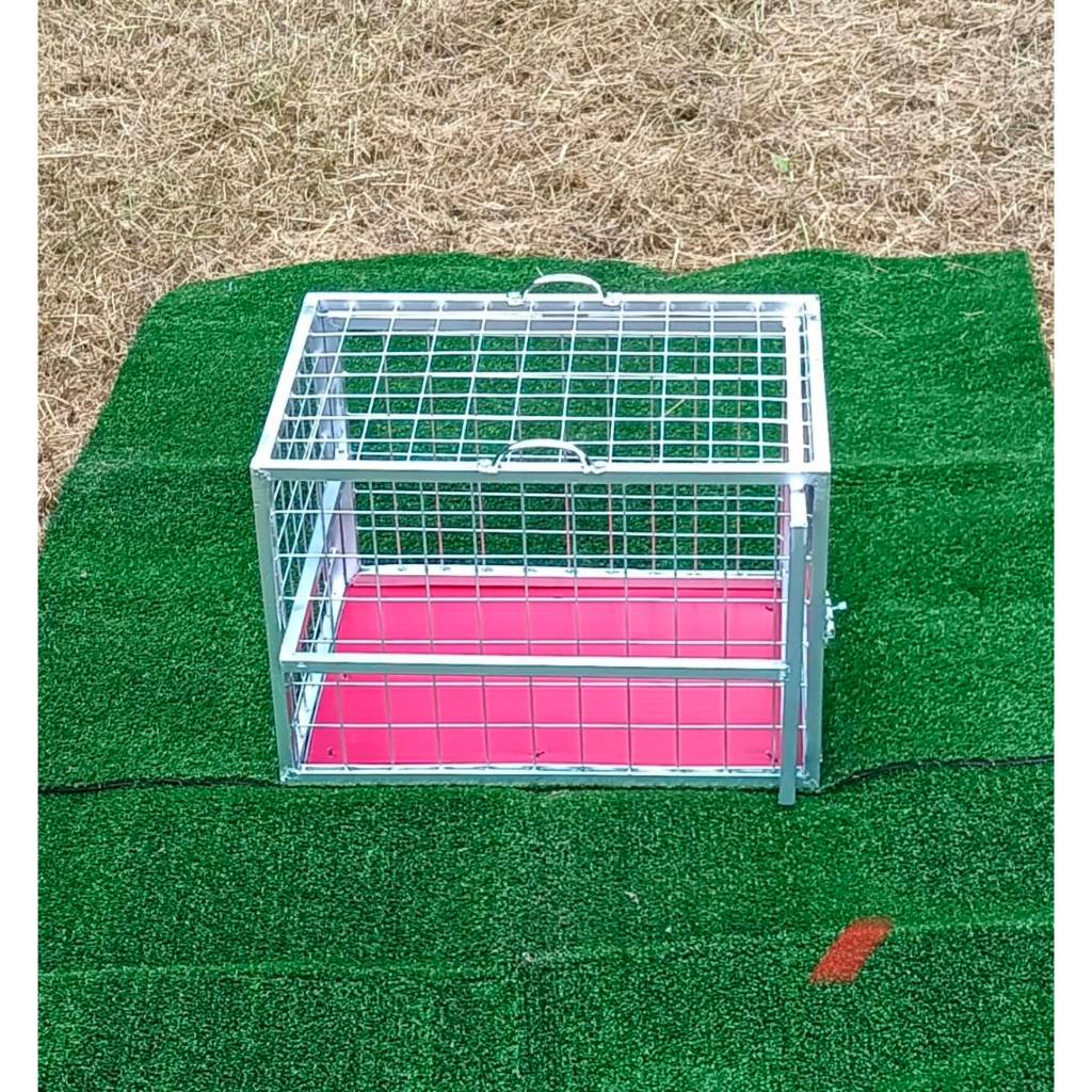 กรงฉีดยาแมว กรงพยาบาลแมว และสัตว์อื่นๆกรงนี้จะมีหูจับเพื่อความสะดวกในการยก และจะปูพื้นเหยียบให้ด้วยเพื่อกันขาแมวตกช่อง - รูปที่ 2