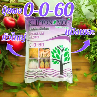(1 ถุง=1 กิโลรัม) ปุ๋ยเกล็ด 0-0-60 ปุ๋ยเกล็ดผง นำเข้าจากจอร์แดน ปุ๋ยลงหัว