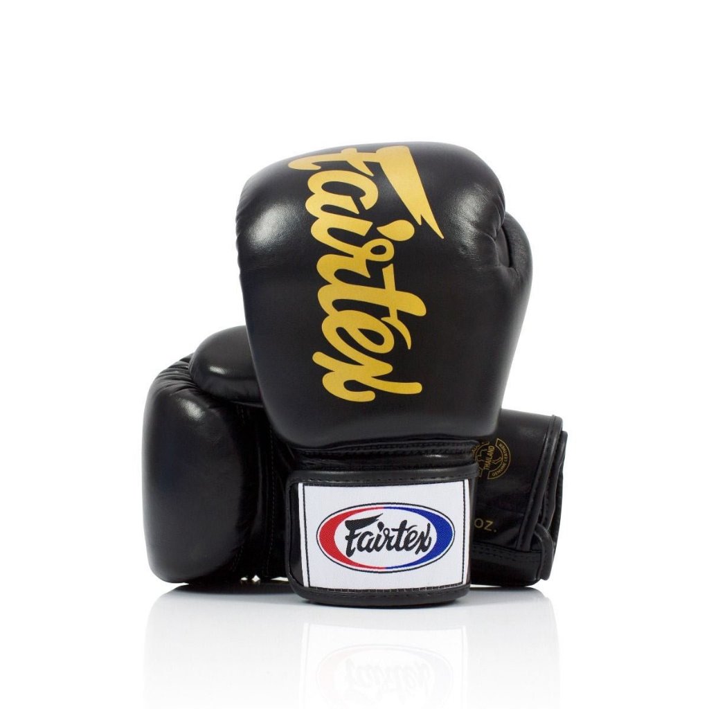Fairtex Boxing Gloves BGV19