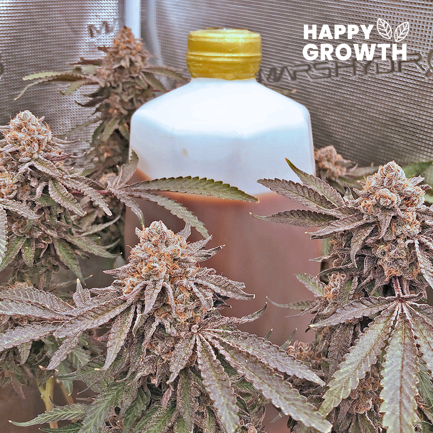 น้ำหมักผลไม้รวม สูตรเข้มข้นคุณภาพดี ขนาด2L ปุ๋ยทำดอกออแกนิค เร่งดอกเพิ่มเทอพีนกลิ่นรสชัดขึ้น