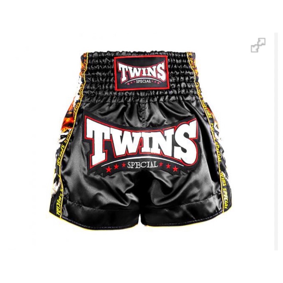Twins Special Muay Thai Shorts TBS-New Payak