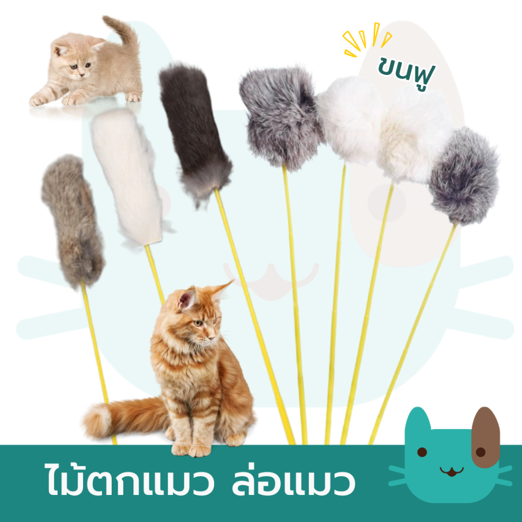 ไม้ตกแมวแบบคละสี ของเล่นแมว ไม้ล่อแมว Cat Teaser Toy