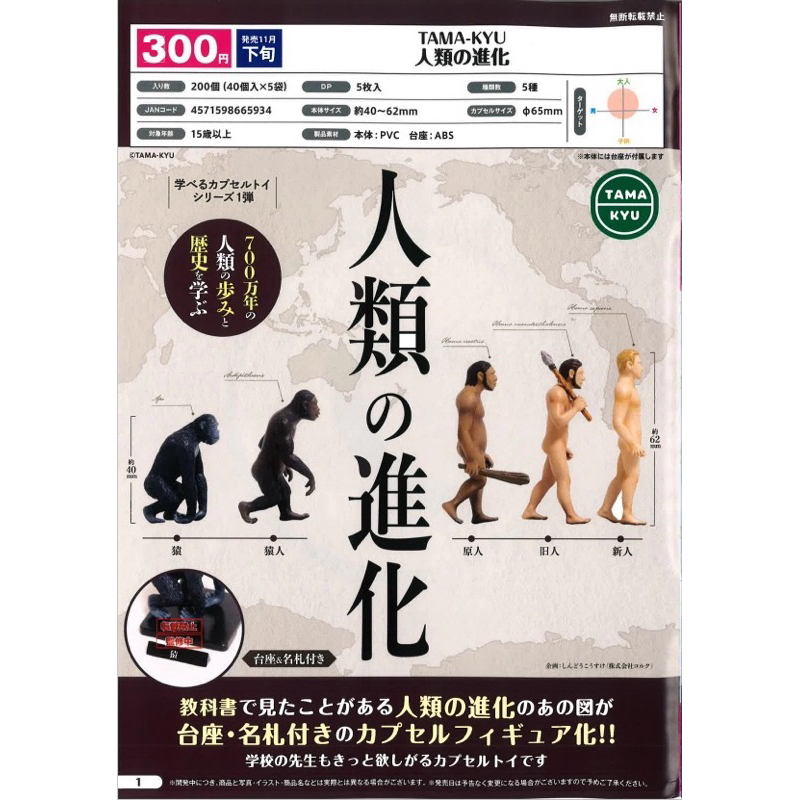 Set Gachapon homosapien 5ตัว พร้อมส่ง!!(ไม่ผลิตแล้ว)