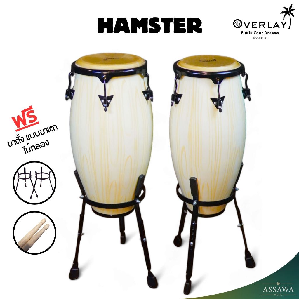 Overlay 🥁 กลองทอมบ้า Tomba ไม้ oak wood Conga คองก้า กลองกีฬาสี ฟรีขาตั้ง แบบขาเตา และ ไม้กลอง 10,11 นิ้ว