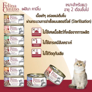 Felina Canino Single Protein อาหารเปียกแมว เนื้อเน้นๆ ไม่เติมเกลือ ขนาด 70 กรัม
