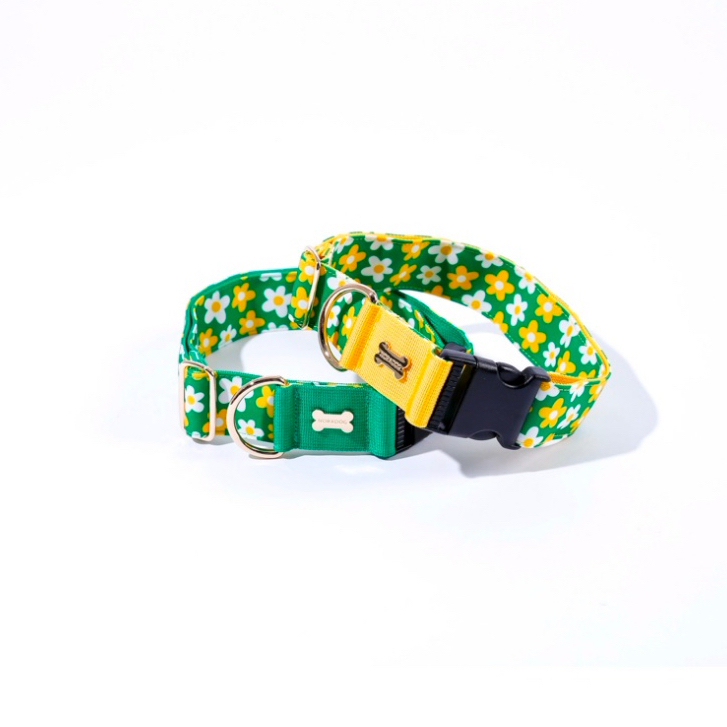 Noradog : Bobo & Chuchu Collar