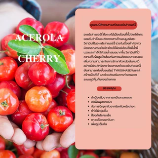 ผงอะเซโรล่าเชอร์รี่ ขนาด 100 กรัม ( Acerola Cherry Powder )