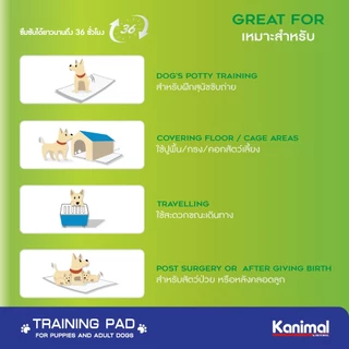 Kanimal Activated Carbon Pad แผ่นรองซับสัตว์เลี้ยง แผ่นรองฉี่สุนัข สูตรคาร์บอน พร้อมเทปกาวติดพื้น สำหรับสุนัข มี 3 ขนาด