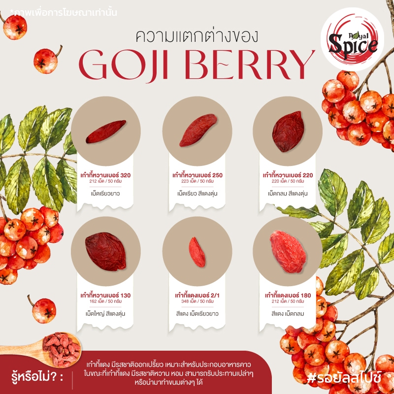 เก๋ากี้ โกจิเบอร์รี่ เก๋ากี้แดง เก๋ากี้ดำ Gojiberry 枸杞 - รูปที่ 6