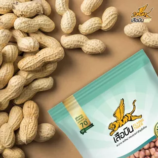 ถั่วลิสงดิบ 500 กรัม ตราเสือบิน | (Peanut Bean)