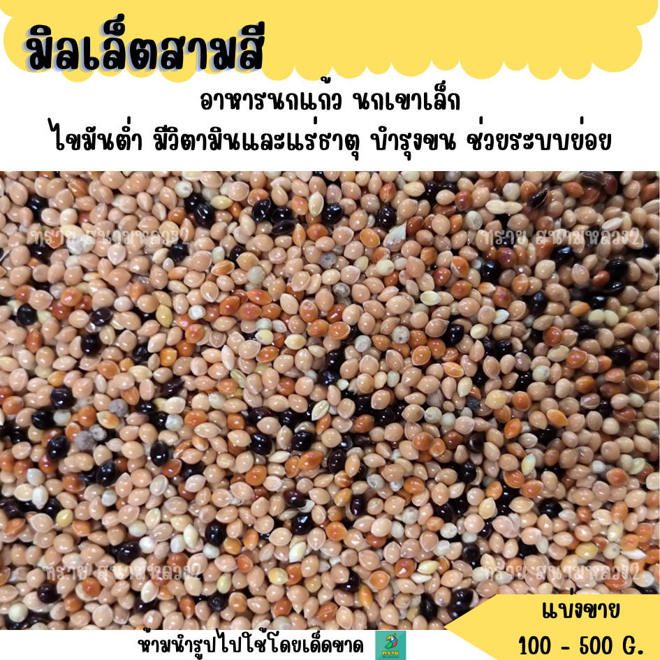 มิลเล็ตสามสี (แบ่งขาย 200G.-500G.) อาหารนกแก้ว นกเขาเล็ก