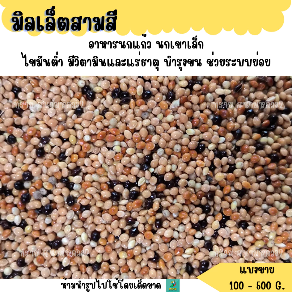 มิลเล็ตสามสี (แบ่งขาย 200G.-500G.) อาหารนกแก้ว นกเขาเล็ก