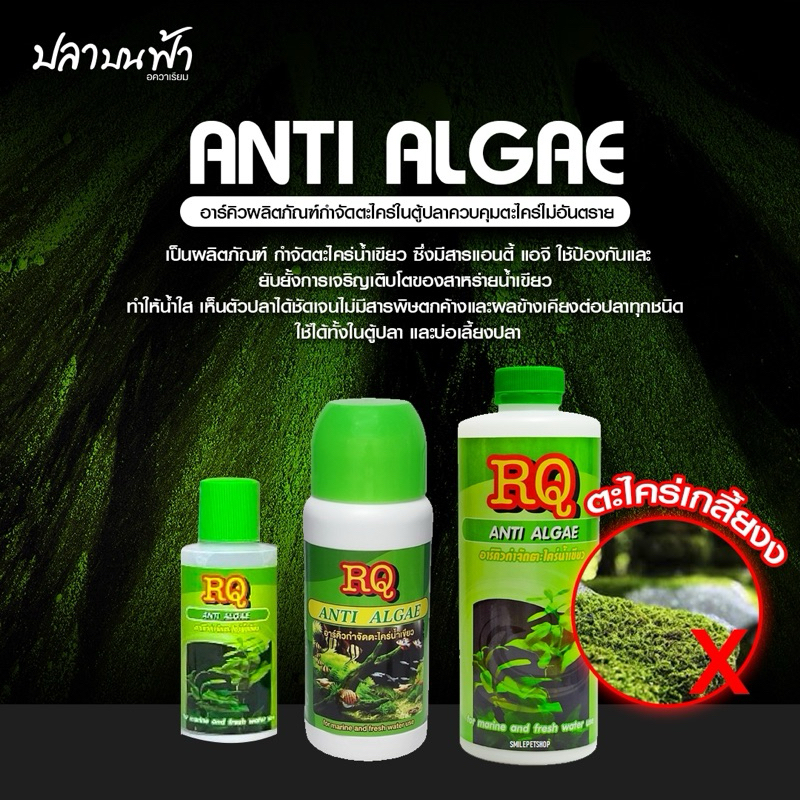RQ ANTI ALGAE อาร์คิว กำจัดตะไคร่น้ำเขียว ที่เกิดจากแสงแดด แล้วทำให้น้ำเขียว ทำให้น้ำสีเขียวดูใสขึ้น