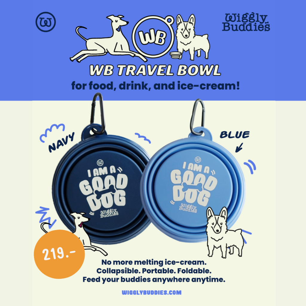 Wiggly Buddies - WB Travel Bowl ถ้วยน้ำสุนัขพับได้สำหรับพกพา