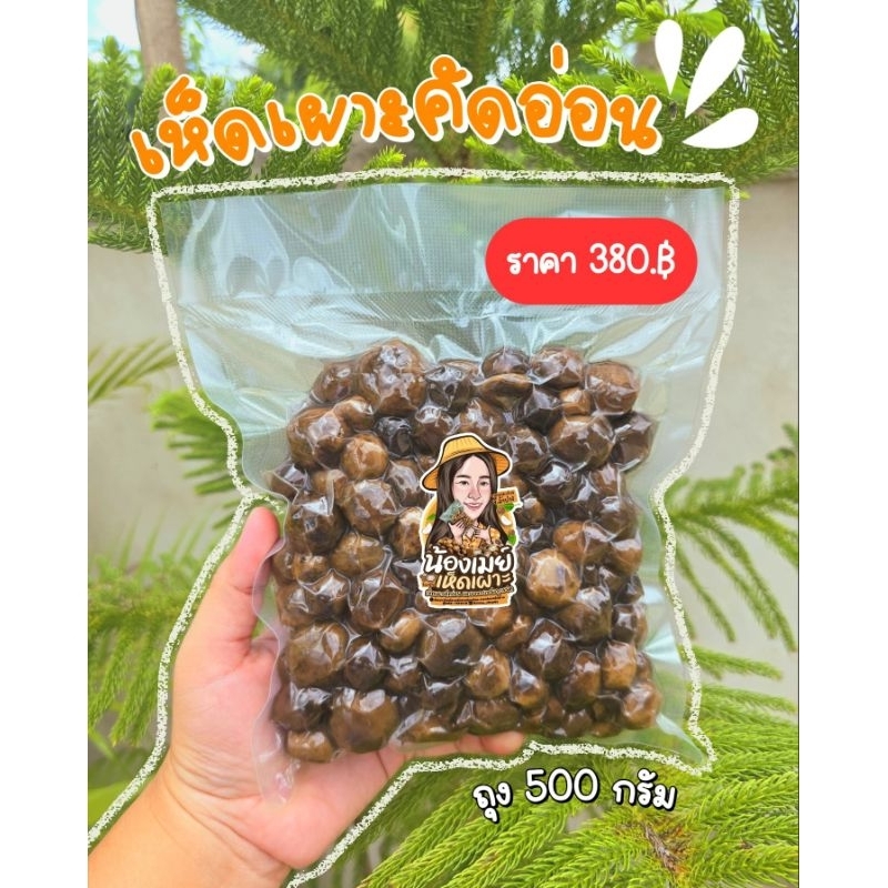 🍄เห็ดเผาะคัดอ่อน-เห็ดหนัง100% {นน.500g.}