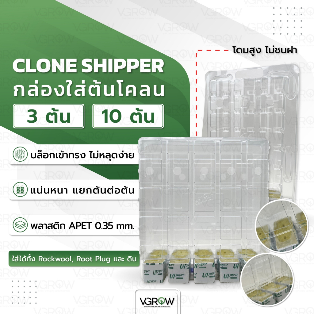 Clone Shipper กล่องใส่ต้นโคลน 3 และ 10 ต้น บรรจุต้นโคลน ป้องกันการกระแทก กล่องพลาสติกใส่ต้นโคลน
