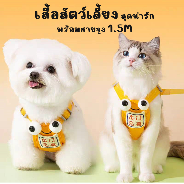 [พร้อมส่ง] สายจูงหมา-แมวบิ๊กอาย สายรัดอกแมว สามารถปรับระดับได้ ระบายอากาศดี ไม่ร้อน ไม่รัดคอ