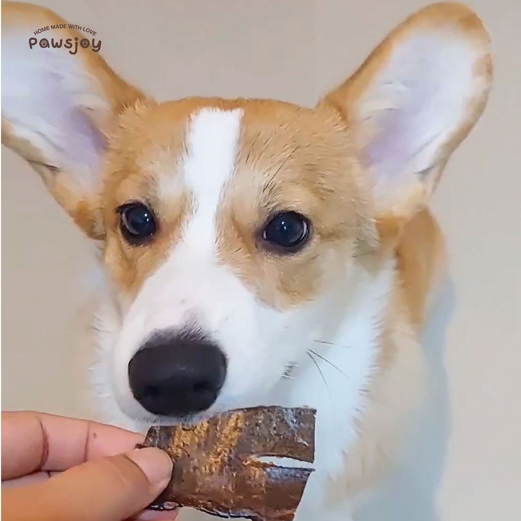Pawsjoy Official ขนมสุนัข ตับหมูอบกรอบ ขนาด 50-100-200 กรัม - รูปที่ 4