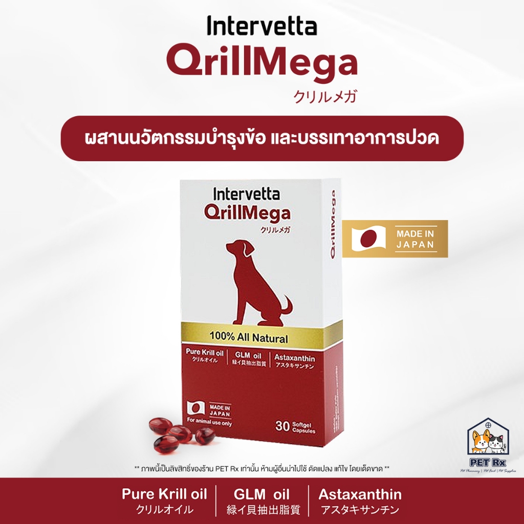 QrillMega [แท้💯] อาหารเสริมผสานนวัตกรรมบำรุงข้อ และบรรเทาอาการปวด สูตรเข้มข้น สำหรับสุนัข
