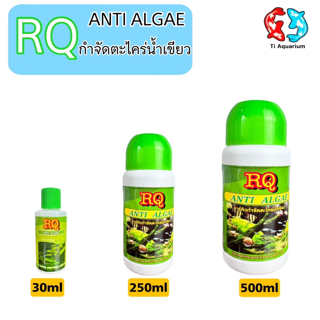 RQ ANTI ALGAE (อาร์คิว กำจัดตะไคร่น้ำเขียว)