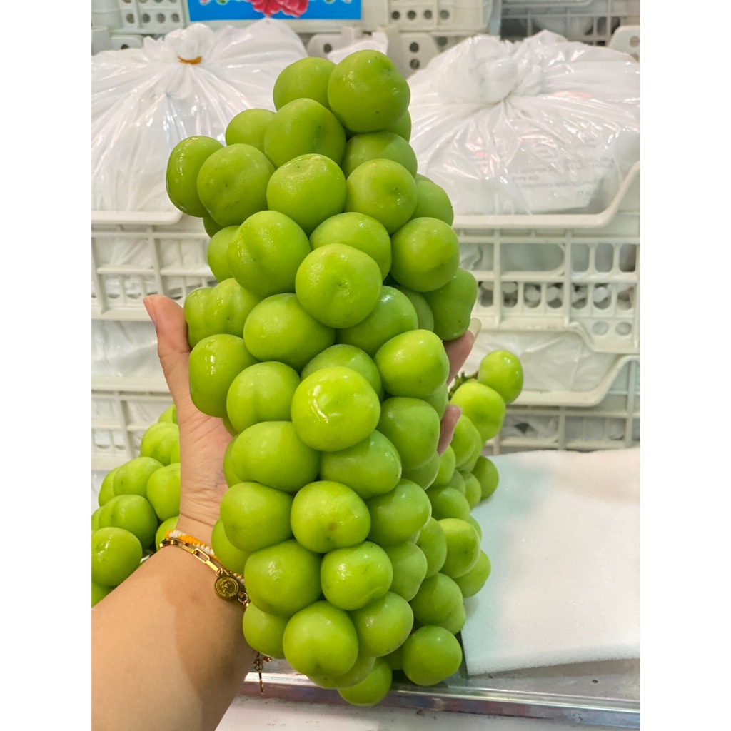 องุ่นไชมัสคัตจัมโบ้ #เปลือย (ยกตะกร้า 3-4 ช่อ)