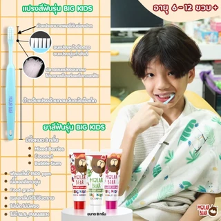 แปรงสีฟันเด็ก Molar Bear โมล่าร์ แบร์ (สำหรับเด็กอายุ 0-3 / 3-6 / 6-12 ปีขึ้นไป ) แปรงสีฟัน ขนแปรงนุ่ม หัวแปรงขนาดเล็ก