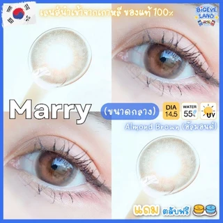 คอนแทคเลนส์ Marry Brown / Gray / Almond Brown (Montra) ขนาดกลาง 💙 เลนส์ทูโทน ตานัว ลดตาลอย