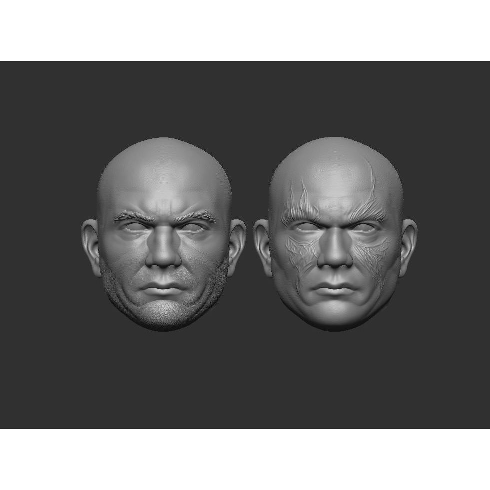 Drax - Headsculpt for Action Figures 3D print model 3D print model