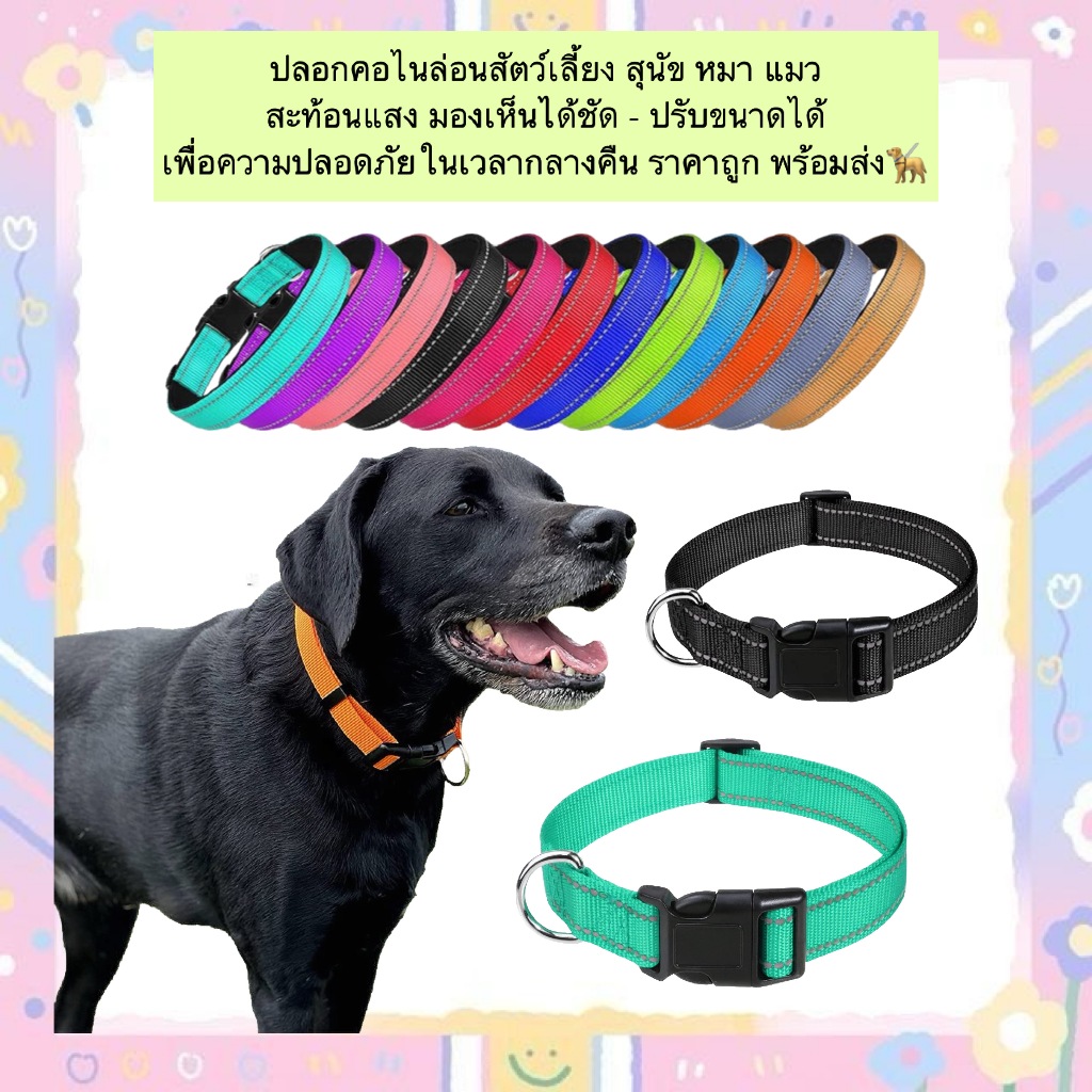 PP-1185 ปลอกคอไนล่อนสะท้อนแสง 🐶🐱🌙 ปลอดภัยสำหรับน้อง ๆ ในเวลากลางคืน มองเห็นได้ชัด สีสดใส ราคาถูก พร้อมส่ง 🚚✨